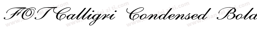 FOTCalligri Condensed Bold ItalicVe字体转换